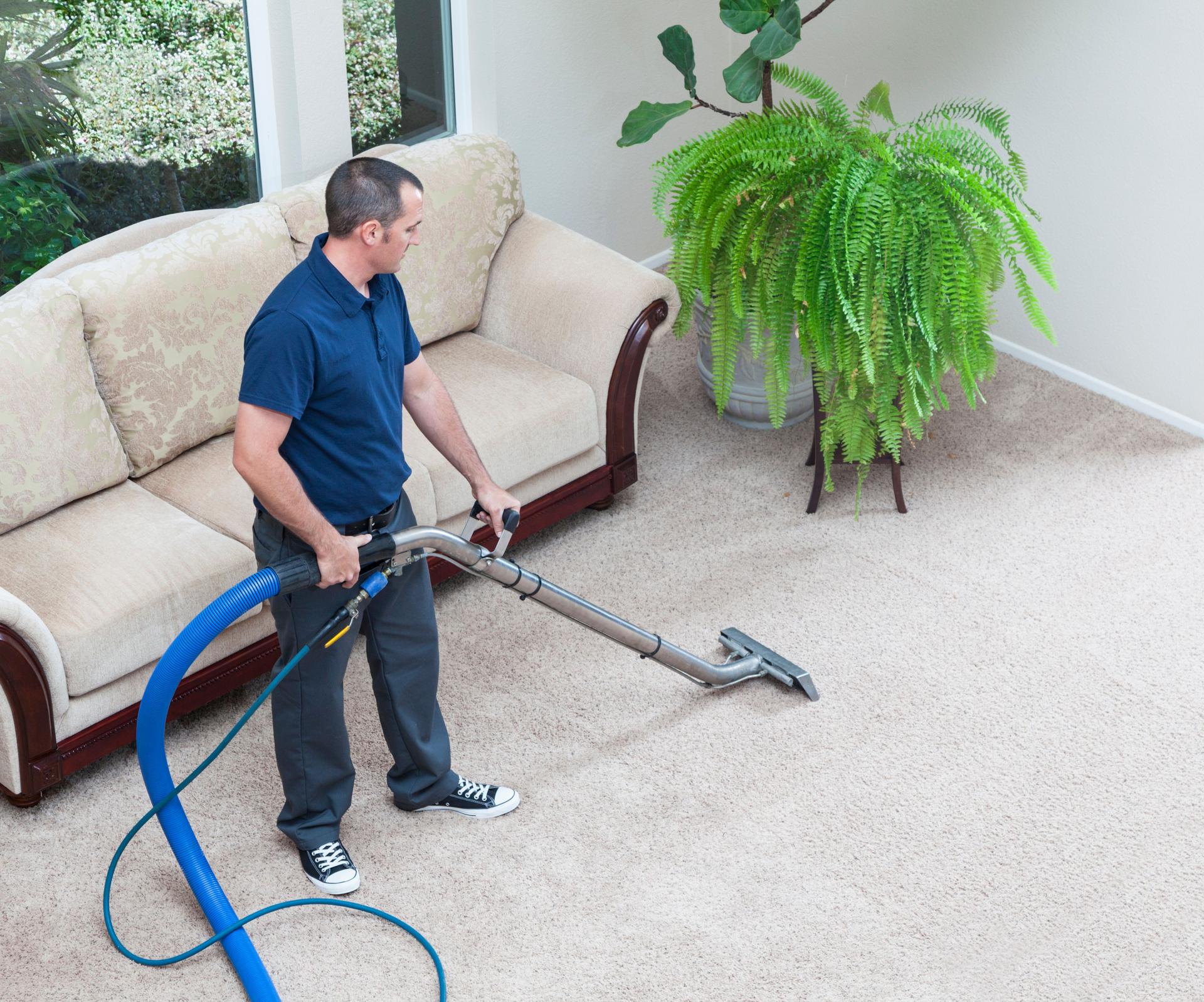 Steam Cleaning Carpets